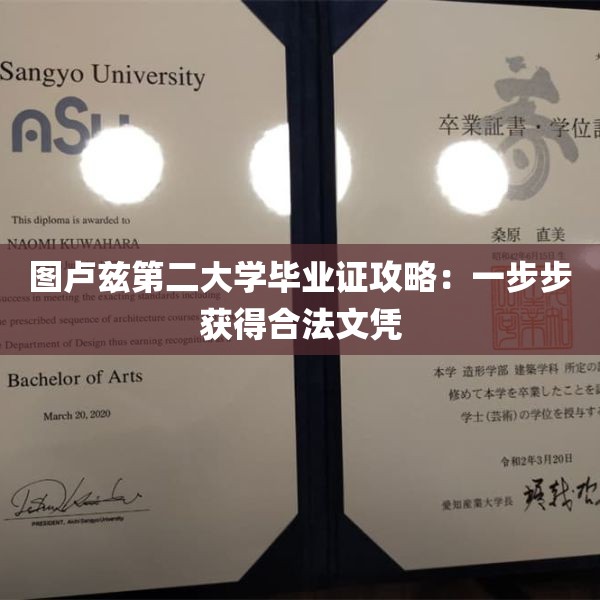 图卢兹第二大学毕业证攻略：一步步获得合法文凭