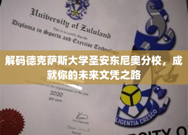 探索德克萨斯大学圣安东尼奥分校，开启你的未来教育之门