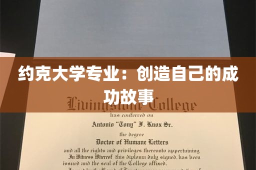 约克大学专业：创造自己的成功故事