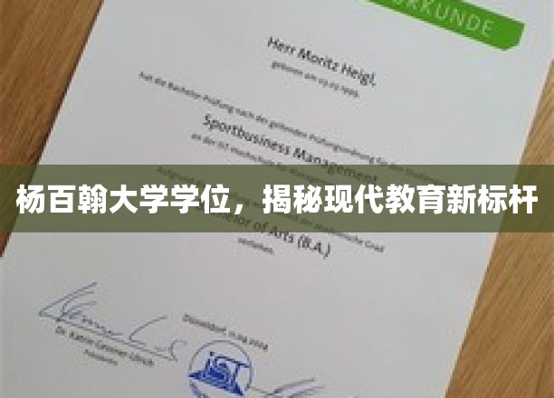 杨百翰大学学位背后的教育革新启示，探索现代教育新高峰