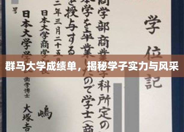 群马学子风采展，揭秘成绩单背后的实力与魅力