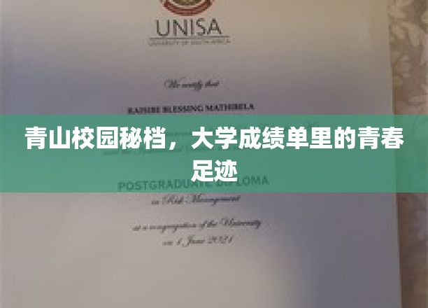 青春足迹，揭开大学成绩单背后的校园秘闻