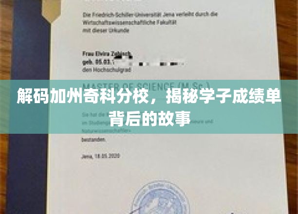 探寻奇科分校学子卓越成绩背后的秘密之旅