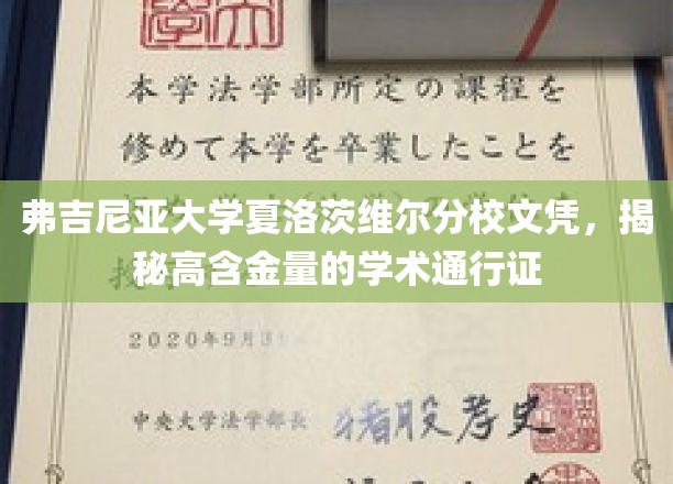 弗吉尼亚大学夏洛茨维尔分校文凭，揭秘高含金量的学术通行证