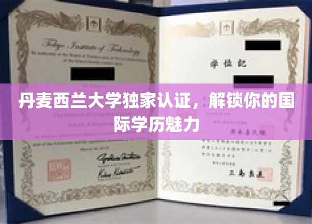 丹麦西兰大学独家认证，展现你的国际学历魅力