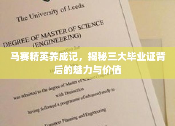 马赛校园风云录，探寻三大毕业证书的非凡魅力与深远影响