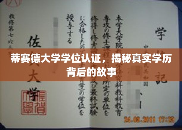 揭开蒂赛德大学学位认证之谜，探究学历背后的真实面貌