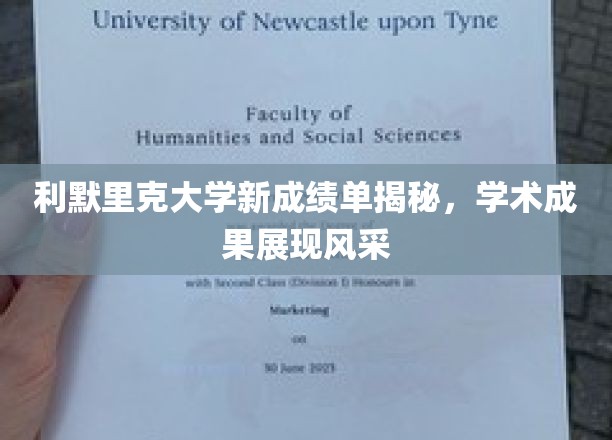 利默里克大学新成绩单曝光，学子风采与学术成就齐飞