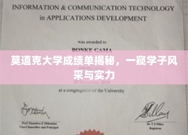 莫道克大学成绩单揭秘，一窥学子风采与实力