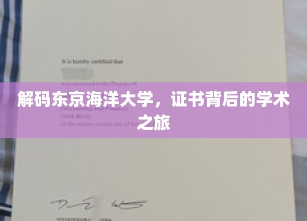解码东京海洋大学，证书背后的学术之旅