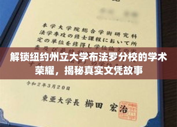 探索纽约州立布法罗分校辉煌成就，一窥文凭背后的真实历程
