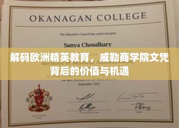 解码欧洲精英教育，威勒商学院文凭背后的价值与机遇