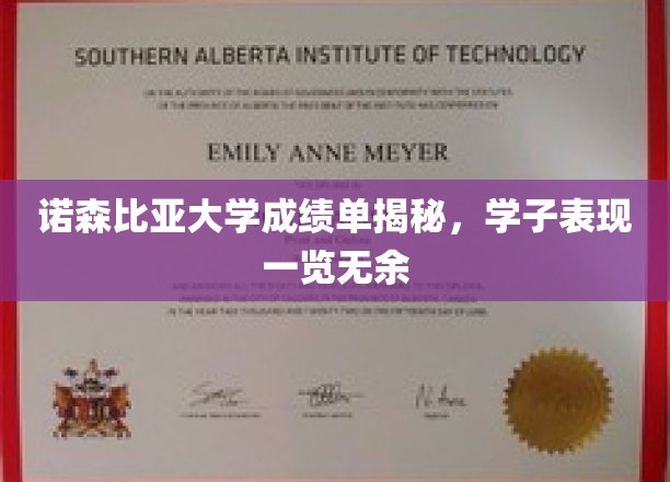 诺森比亚大学学子成绩大公开，全方位解析卓越表现