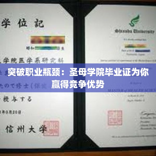 突破职业瓶颈：圣母学院毕业证为你赢得竞争优势