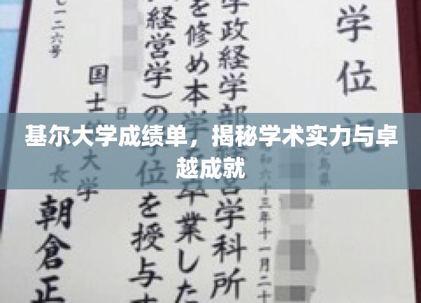 基尔大学成绩单，揭示学术实力与卓越成就