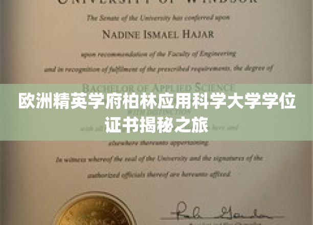 探寻柏林应用科学大学学位证书背后的神秘世界