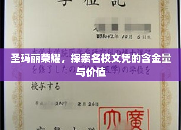 圣玛丽荣耀，探索名校文凭的含金量与价值