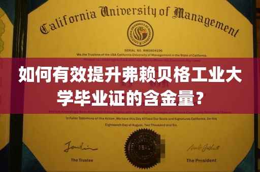 如何有效提升弗赖贝格工业大学毕业证的含金量？