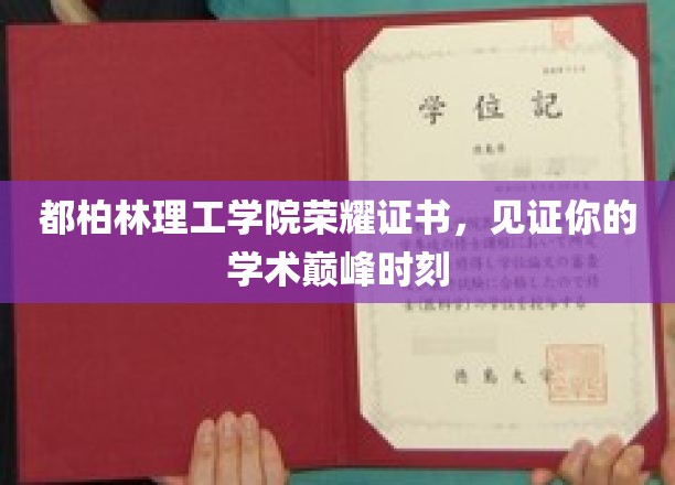 荣耀巅峰，都柏林理工学院证书，成就你的学术荣耀时刻