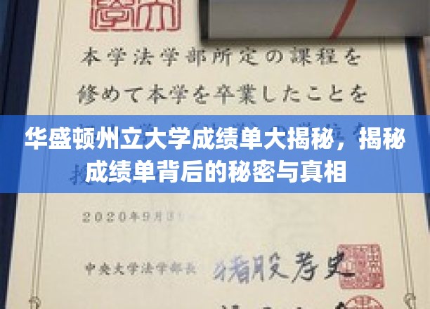 华盛顿州立大学成绩单揭秘，揭开成绩单背后的秘密与真相