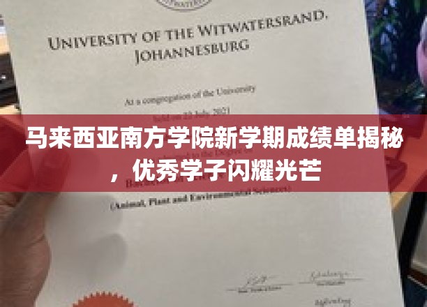 马来西亚南方学院新学期学霸风云录，璀璨成绩单见证卓越风采