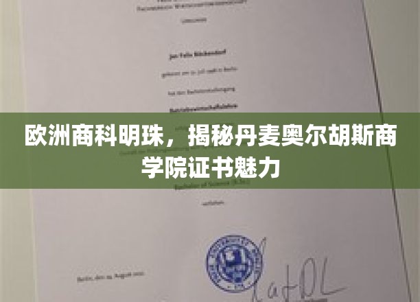 欧洲商科明珠，揭开丹麦奥尔胡斯商学院证书的神秘面纱