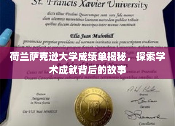 荷兰萨克逊大学成绩单背后的学术传奇，揭秘学子成就背后的故事