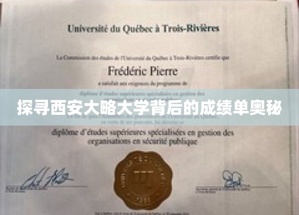 探寻西安大略大学背后的成绩单奥秘