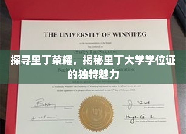 探寻里丁荣耀，揭秘里丁大学学位证的独特魅力