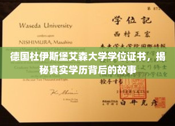 德国杜伊斯堡艾森大学学位证之谜，探寻学历背后的真实面貌