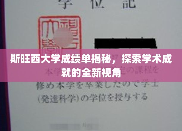 解码斯旺西大学成绩单，揭秘学术卓越的多元解读