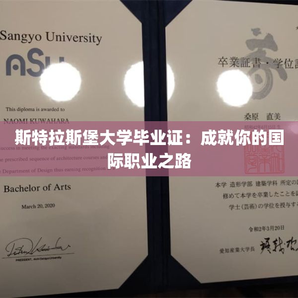 斯特拉斯堡大学毕业证：成就你的国际职业之路