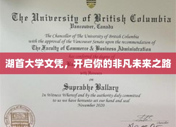 湖首大学文凭，铺就非凡人生起航点
