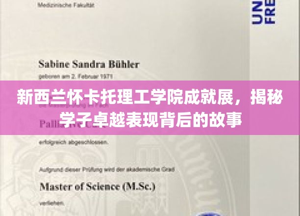 怀卡托理工骄子风采，探寻学子卓越背后的成长轨迹