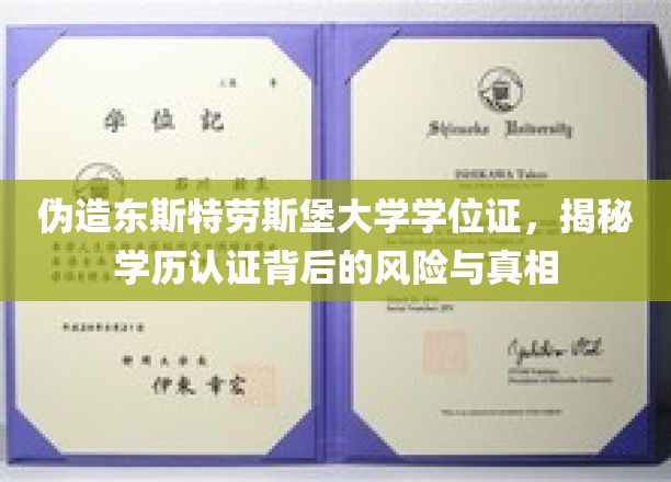 假证横行，东斯特劳斯堡大学学历伪造，揭秘学历认证体系的危机与漏洞