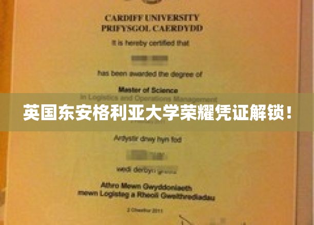 东安格利亚大学荣耀证书大揭秘，解锁成就背后的故事