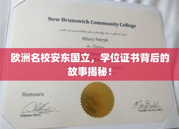 揭秘欧洲名校安东国立，学位证书背后的传奇故事！