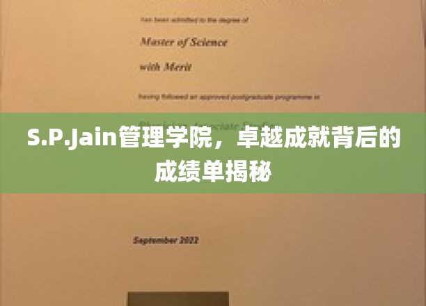 解码S.P.Jain管理学院，揭秘卓越教育的秘密武器