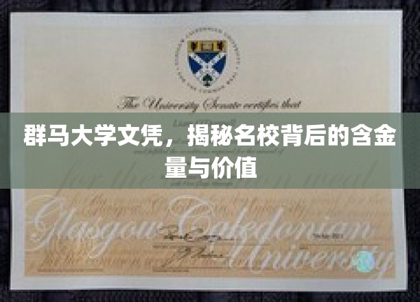 群马大学文凭，解码名校背后的价值与含金量