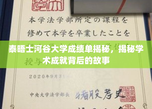 揭开泰晤士河谷大学成绩单背后的辉煌篇章