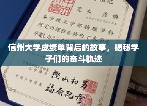 信州大学成绩单背后的故事，揭秘学子们的奋斗轨迹