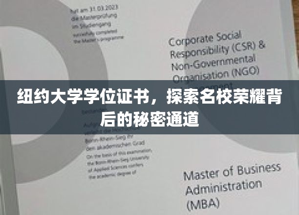 纽约大学学位证书，揭秘名校荣耀背后的秘密通道