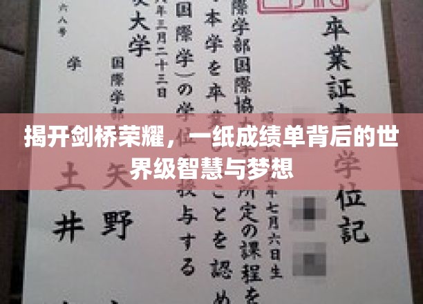 解码剑桥之光，成绩单背后的智慧传奇与青春梦想