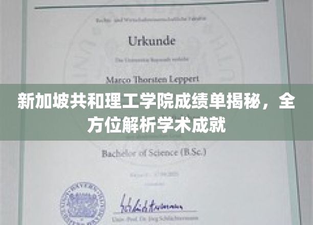 新加坡共和理工学院成绩单揭秘，全方位解析学术成就
