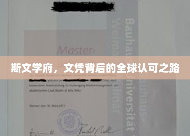 斯文荣耀，世界通行证，揭秘斯文学府的全球认可之路