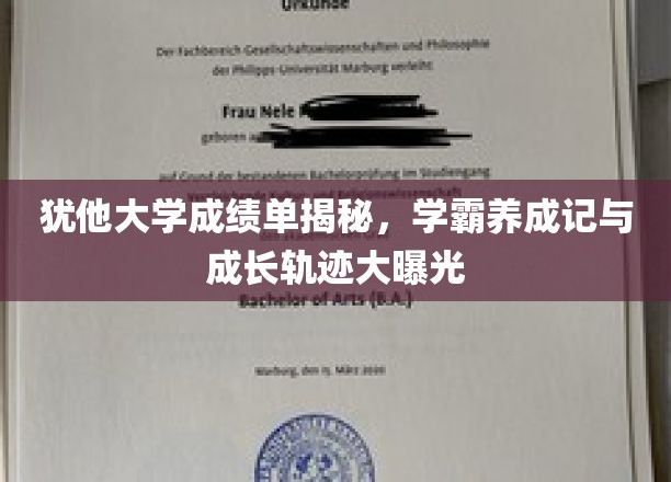 犹他大学学霸养成记，揭秘顶尖学子的成长轨迹与高分秘诀