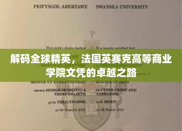 解码全球精英，法国英赛克高等商业学院文凭的卓越之路