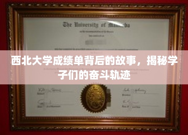 西北大学学子足迹，一纸成绩单中的青春印记