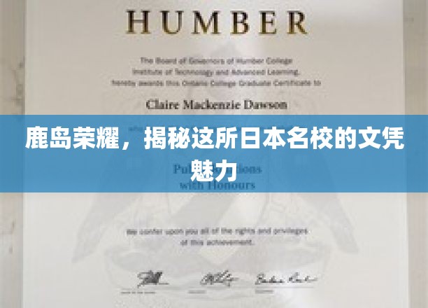 鹿岛风华，解码日本顶尖学府的文凭魅力