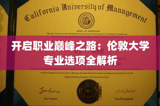 开启职业巅峰之路：伦敦大学专业选项全解析